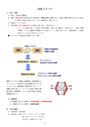 ★理学療法・作業療法実習対策レポート★関節リウマチの発生機序・病理について