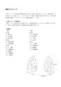 ★理学療法・作業療法実習対策レポート★体位ドレナージについて