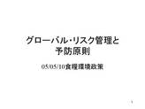 グローバルリスク管理と予防原則